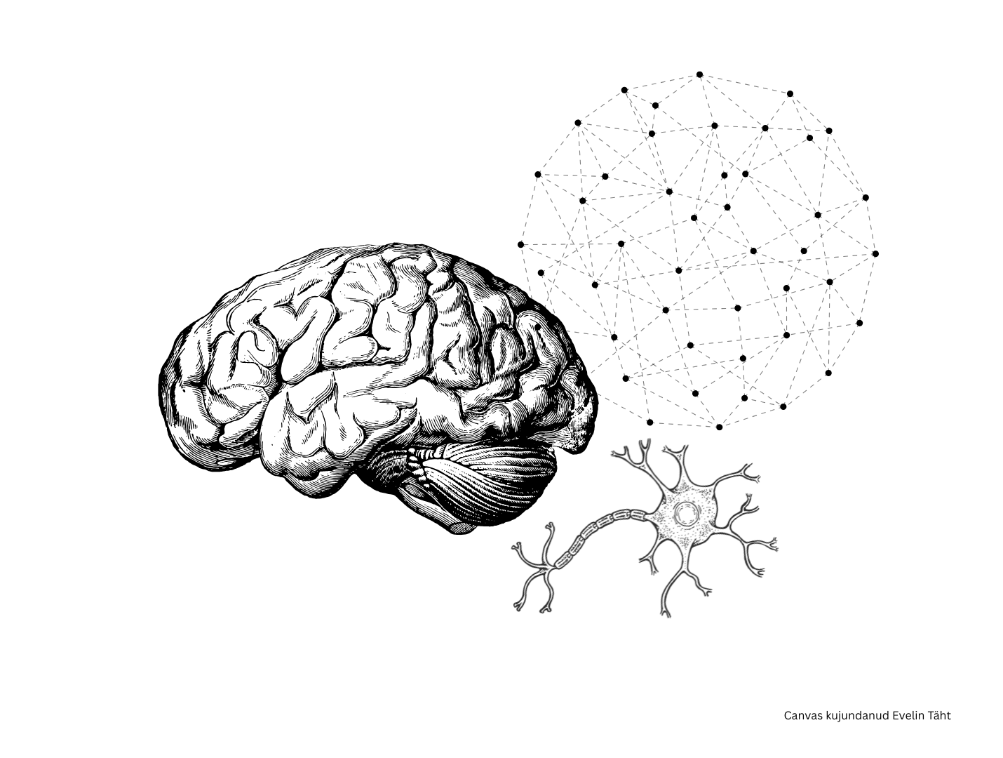 Kuidas aju erinev funktsioneerimine määrab neuroerinevuse